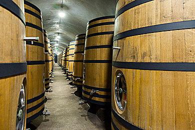 XGP八月下旬新增游戏阵容 《尘封大陆》等